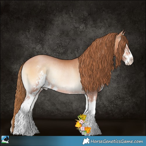 Horse Color:Bay Pearl Onyx Sabino Rabicano 