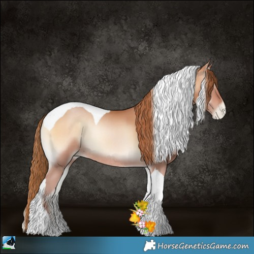 Horse Color:Bay Pearl Onyx Sabino Tobiano Rabicano 
