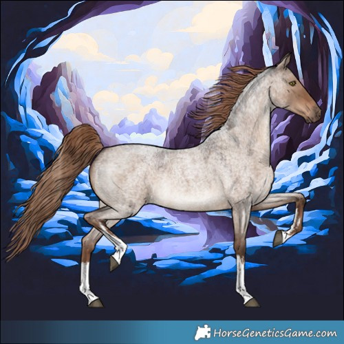 Horse Color:White Spotted Liver Red Dun Roan 