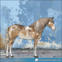 Horse Color:White Spotted Chocolate Palomino Dun Sabino Rabicano Brindle 