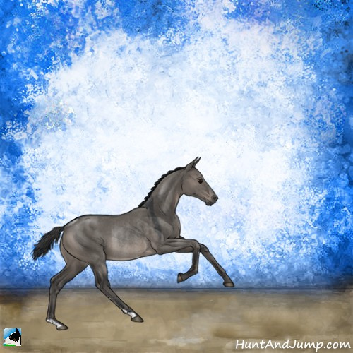 Horse Color:Grullo Rabicano 