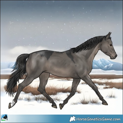 Horse Color:Grullo Mushroom 