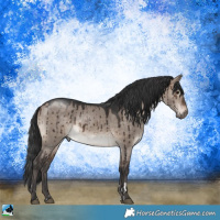Horse Color:Brown Dun Mushroom Brindle 
