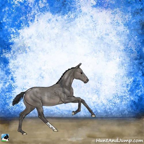 Horse Color:Grullo Rabicano 