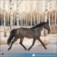 Horse Color:Brown Dun Mushroom Rabicano Brindle 