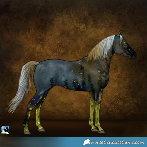 Horse Color:ERROR: UNKNOWN ANOMALY
