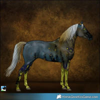 Horse Color:ERROR: UNKNOWN ANOMALY