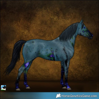 Horse Color:ERROR: UNKNOWN ANOMALY