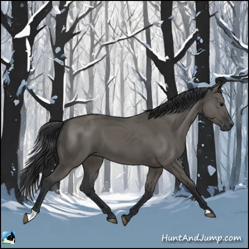 Horse Color:Grullo Sabino Rabicano 