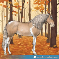Horse Color:Chocolate Palomino Pearl Tobiano 