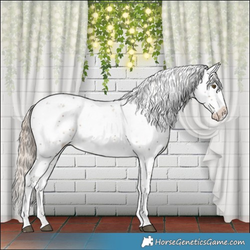 Horse Color:Chocolate Palomino Sabino 