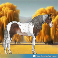 Horse Color:Liver Chestnut Mushroom Sabino Tobiano 
