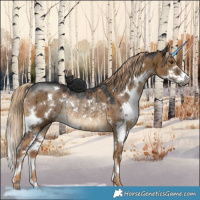 Horse Color:Gray White Spotted Chocolate Palomino Dun Sabino Rabicano Brindle 