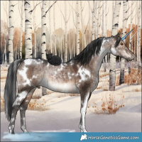 Horse Color:White Spotted Brown Dun Brindle 