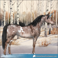 Horse Color:White Spotted Liver Red Dun Rabicano Brindle