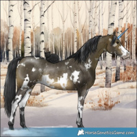 Horse Color:White Spotted Brown Dun Sabino Rabicano Brindle 