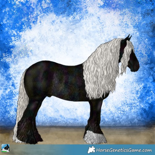 Horse Color:Midnight Liver Chestnut Ice Mushroom Rabicano 