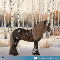 Horse Color:White Spotted Liver Chestnut Ice Rabicano