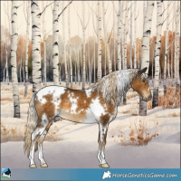 Horse Color:White Spotted Chocolate Palomino Mushroom