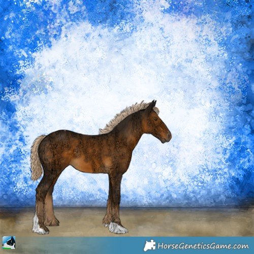 Horse Color:Chocolate Palomino Ice Mushroom Tobiano Rabicano 