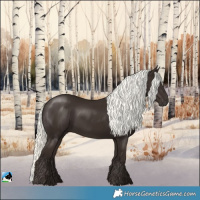 Horse Color:Liver Chestnut Mushroom 