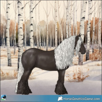 Horse Color:Liver Chestnut Mushroom 