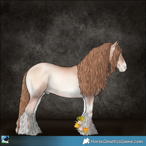 Horse Color:Gold Champagne Pearl Onyx Rabicano 