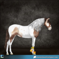 Horse Color:Brown Pearl Onyx Tobiano Rabicano 