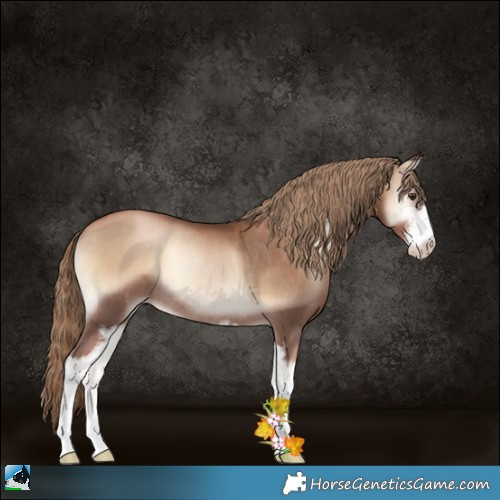 Horse Color:Liver Red Onyx Pearl Sabino Rabicano 