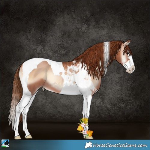 Horse Color:Brown Pearl Onyx Sabino Splash Tobiano 