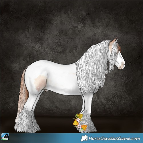 Horse Color:Sable Champagne Pearl Onyx Splash Tobiano Rabicano 