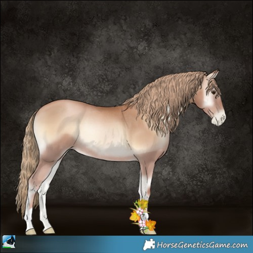Horse Color:Red Onyx Pearl Rabicano 
