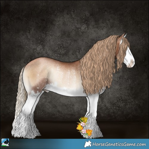 Horse Color:Liver Red Onyx Pearl Splash Rabicano 