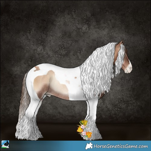 Horse Color:Liver Red Onyx Pearl Tobiano Rabicano 