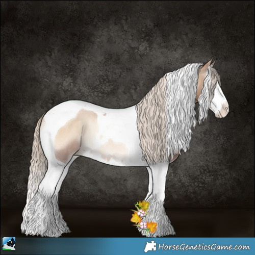 Horse Color:Chocolate Palomino Pearl Onyx Sabino Splash Tobiano Rabicano 