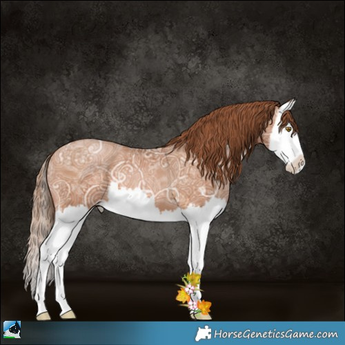 Horse Color:Bay Ice Pearl Splash 