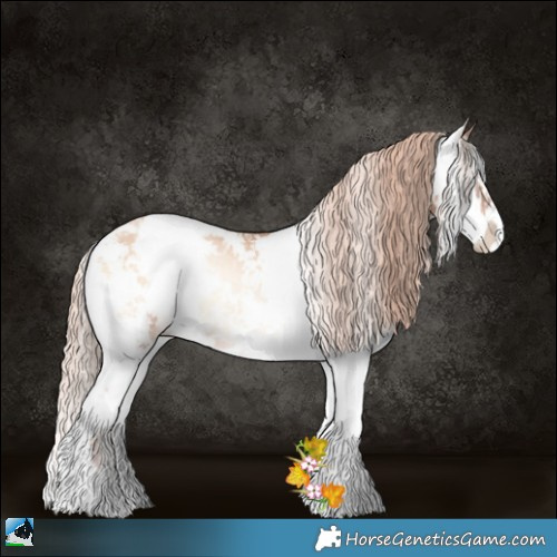 Horse Color:Gold Champagne Pearl Onyx Sabino Rabicano 