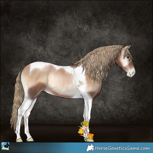 Horse Color:Liver Red Onyx Pearl Tobiano 