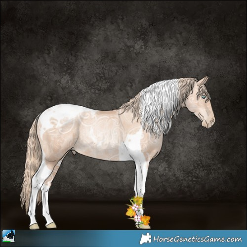 Horse Color:Gold Champagne Ice Pearl Tobiano Rabicano 