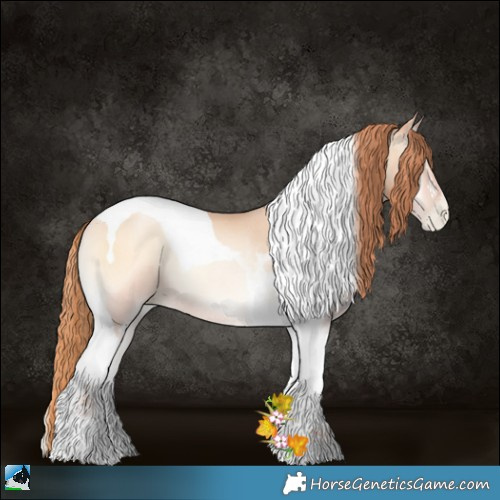 Horse Color:Amber Champagne Pearl Onyx Tobiano Rabicano 