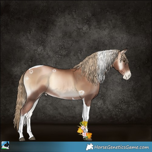 Horse Color:Liver Red Onyx Pearl Tobiano Rabicano 