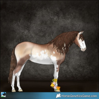 Horse Color:White Spotted Liver Red Onyx Pearl Rabicano