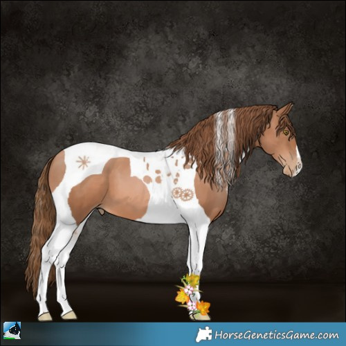 Horse Color:Liver Chestnut Pearl Tobiano 