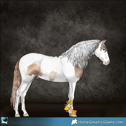 Horse Color:Liver Red Onyx Pearl Splash Tobiano Rabicano 