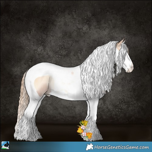Horse Color:Gold Champagne Pearl Onyx Splash Tobiano Rabicano 