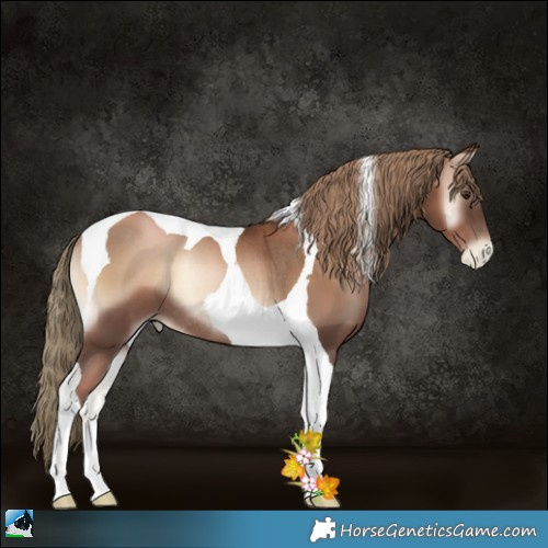 Horse Color:Liver Red Onyx Pearl Tobiano Rabicano 