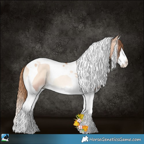 Horse Color:Gold Champagne Pearl Onyx Splash Tobiano Rabicano 