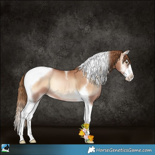 Horse Color:Red Onyx Pearl Splash Tobiano 