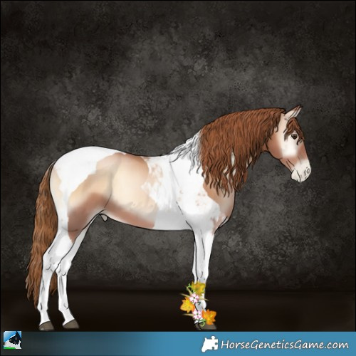 Horse Color:Red Onyx Pearl Tobiano 