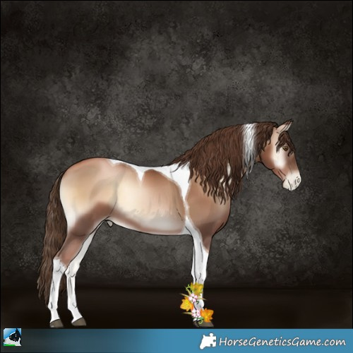 Horse Color:Liver Red Onyx Pearl Tobiano 